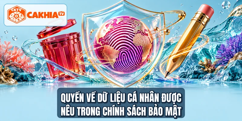 Quyền về dữ liệu cá nhân được nêu trong chính sách bảo mật
