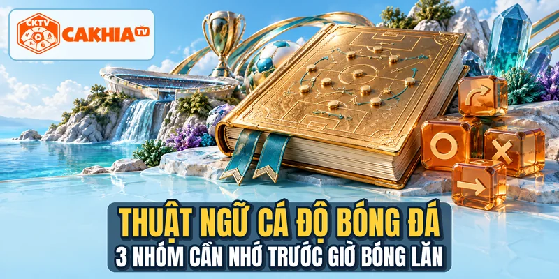 Thuật Ngữ Cá Độ Bóng Đá - 3 Nhóm Cần Nhớ Trước Giờ Bóng Lăn