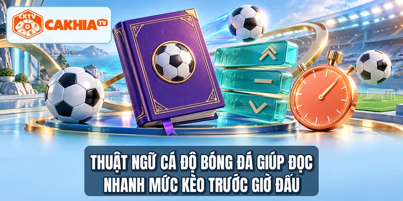 Thuật ngữ cá độ bóng đá giúp đọc nhanh mức kèo trước giờ đấu