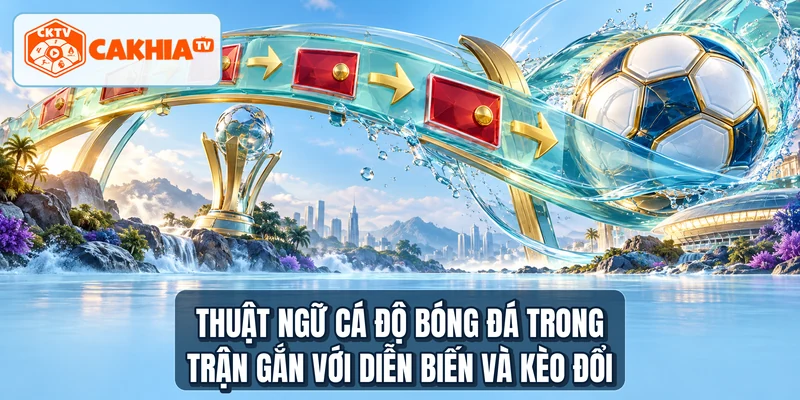 Thuật ngữ cá độ bóng đá trong trận gắn với diễn biến và kèo đổi